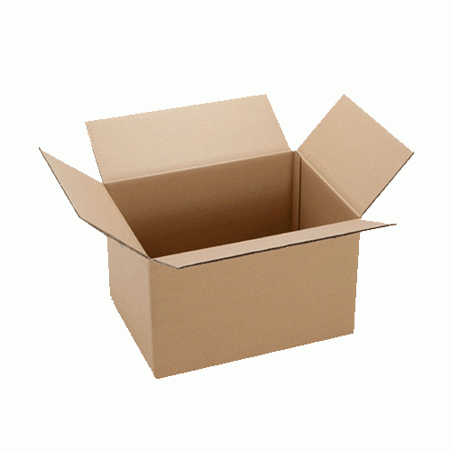 Carton Double Wall RSC